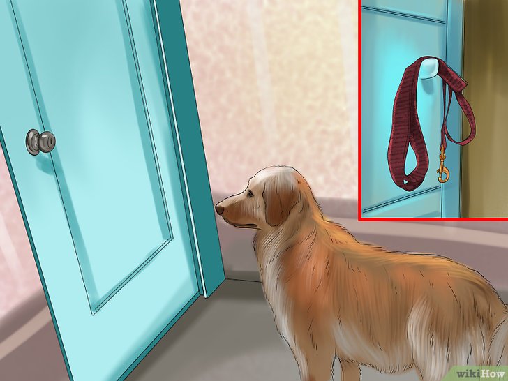 Bước 8: Để giúp chó của bạn có thể ở một mình trong nhà mà không sủa, bạn cần tăng khoảng cách giữa bạn và chó.