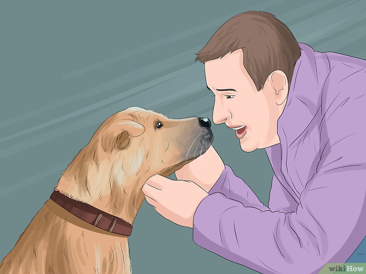 Bước 4: Một trong những cách hiệu quả nhất để huấn luyện chó là sử dụng phương pháp khen ngợi và thưởng.