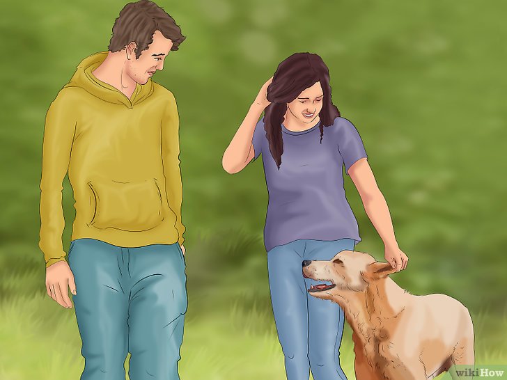 Bước 5: Gắn kết hành vi với mệnh lệnh bằng miệng là một cách vui nhộn để huấn luyện chó đi bên cạnh bạn mà không gây phiền phức.