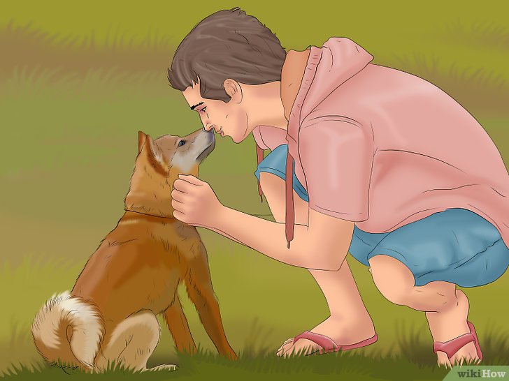 Bước 7: Hãy để ý những lúc chó tự ngồi trong ngày.