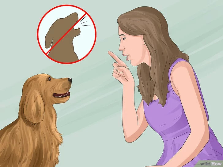 Bước 6: Để kiểm soát được tiếng sủa của chó, bạn cần dạy cho chó hai lệnh cơ bản là “sủa” và “im.”