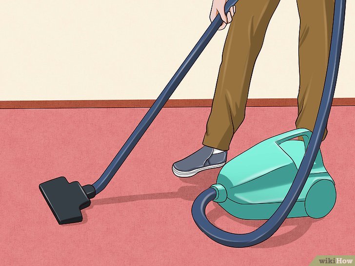 Bước 5: Hút bụi là một cách hiệu quả để loại bỏ các vết bẩn do nước tiểu trên thảm.