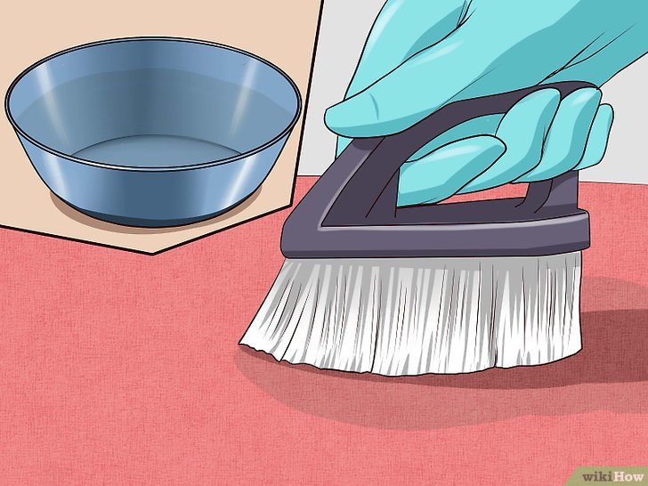 Bước 4: Để loại bỏ vết bẩn và mùi hôi do nước tiểu mèo gây ra, bạn có thể sử dụng dung dịch giấm như sau.