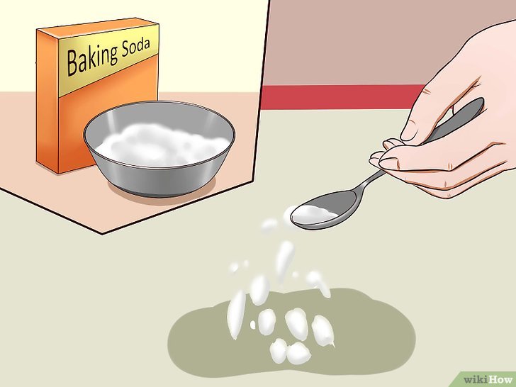Bước 1: Nếu bạn có vấn đề với mùi nước tiểu mèo trên thảm, ghế sofa hay quần áo, bạn có thể sử dụng rắc muối nở (baking soda) để khắc phục.