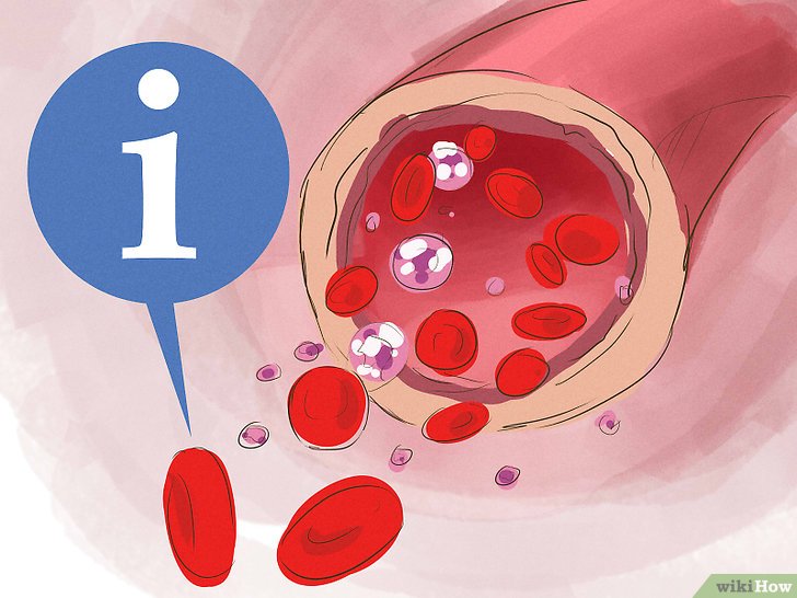 Bước 3: Tế bào hồng cầu có chức năng gì?