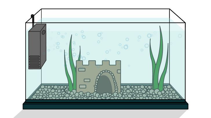 Bước 5: Để nuôi cá vàng khỏe mạnh và đẹp mắt, bạn cần lắp đặt bộ lọc nước cho bể cá.