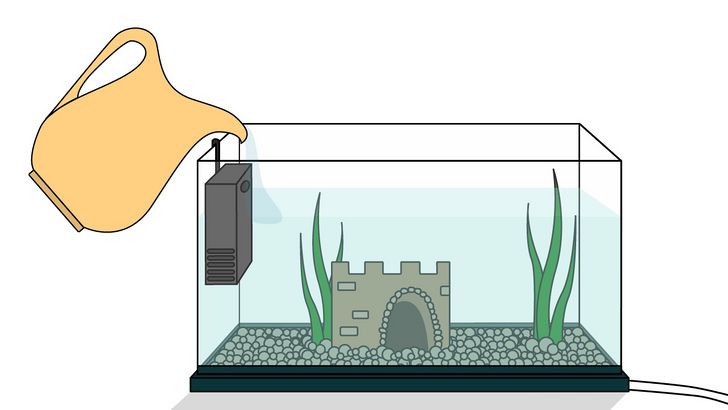 Bước 2: Để hồ thủy sinh luôn sạch đẹp và tốt cho sức khỏe của cá, bạn nên làm sạch hồ thường xuyên, ít nhất một lần mỗi tuần.