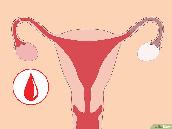 Bước 3: Xuất huyết làm tổ là một hiện tượng thường gặp ở một số phụ nữ khi trứng đã thụ tinh dính vào tử cung.