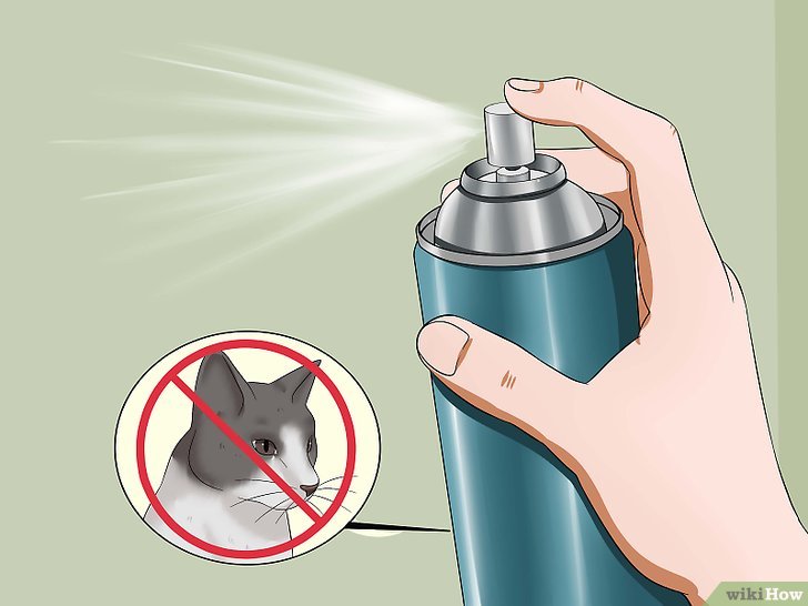 Bước 4: Nếu bạn muốn ngăn chặn những con mèo lạ xâm nhập vào khu vực của bạn, bạn có thể sử dụng một loại thuốc xua đuổi mèo công nghiệp.