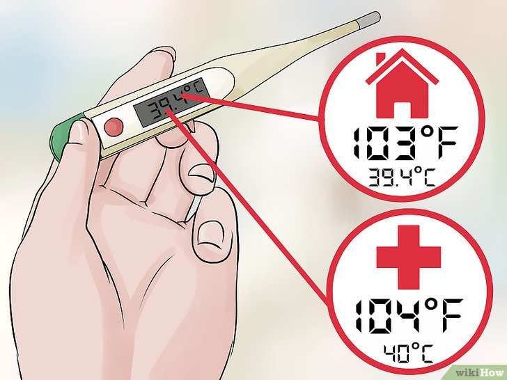 Bước 1: Một cách để theo dõi tình trạng sức khỏe của bạn khi bị sốt là đo nhiệt độ cơ thể bằng nhiệt kế.
