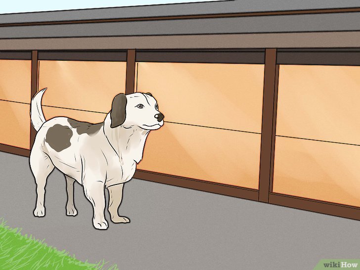 Bước 2: Nếu bạn muốn huấn luyện chó của bạn để nó không sủa quá nhiều, bạn cần tạo cho nó một môi trường yên tĩnh và an toàn.