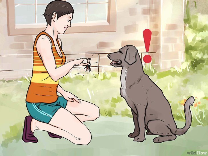 Bước 3: Một cách để ngăn chó sủa quá nhiều khi có người lạ đến nhà là dùng chùm chìa khóa để làm cho chó bị xao lãng.