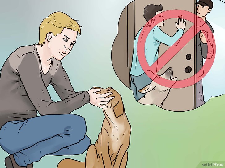 Bước 1: Nếu bạn muốn huấn luyện chó của bạn ngừng sủa, bạn có thể thử kỹ thuật “im lặng” bằng cách giữ mõm của chó.