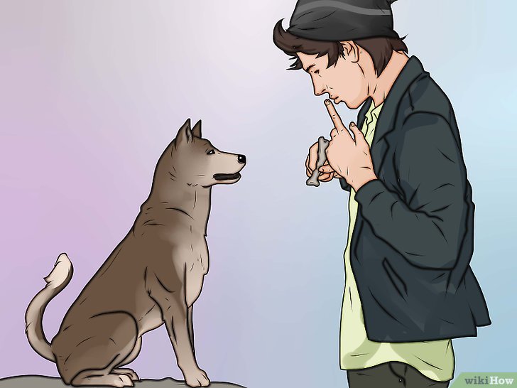Bước 2: Một cách khác để dạy chó của bạn cách im lặng là không cần phải nắm mõm của nó.