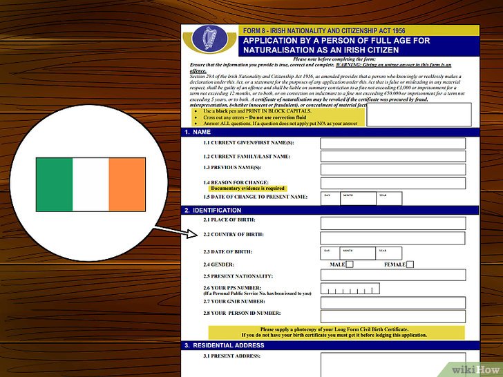 Bước 2: Điền đơn đăng ký nhập tịch châu Âu.