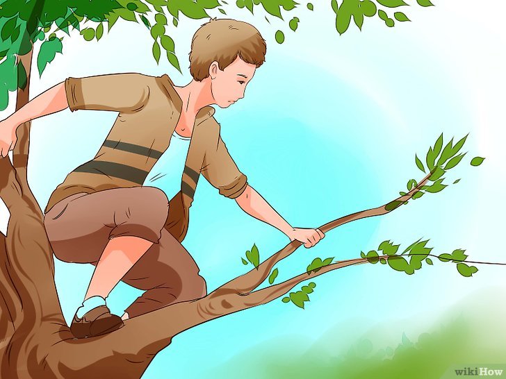 Bước 4: Trèo lên một cái cây vững chãi.