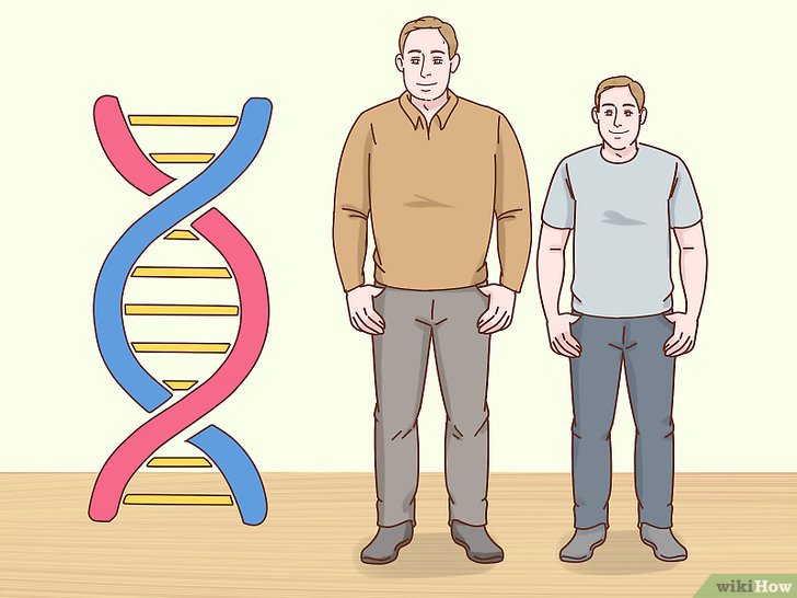 Bước 1: Để có được chiều cao lý tưởng, bạn cần phải hiểu rằng yếu tố quan trọng nhất là di truyền.