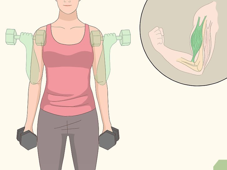 Bước 2: Bạn đang tìm cách tăng kích thước cánh tay của mình bằng cách tập cơ nhị đầu?