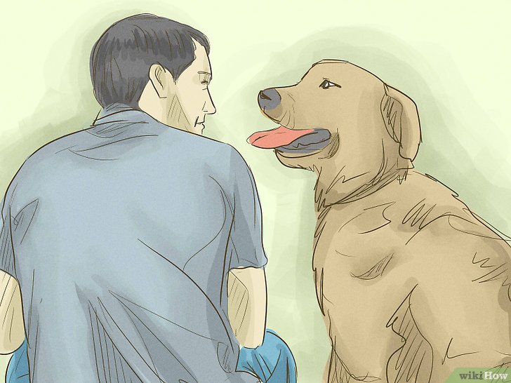 Bước 7: Bạn có biết rằng dành thời gian cho thú cưng có thể mang lại nhiều lợi ích cho sức khỏe và tâm trạng của bạn không?