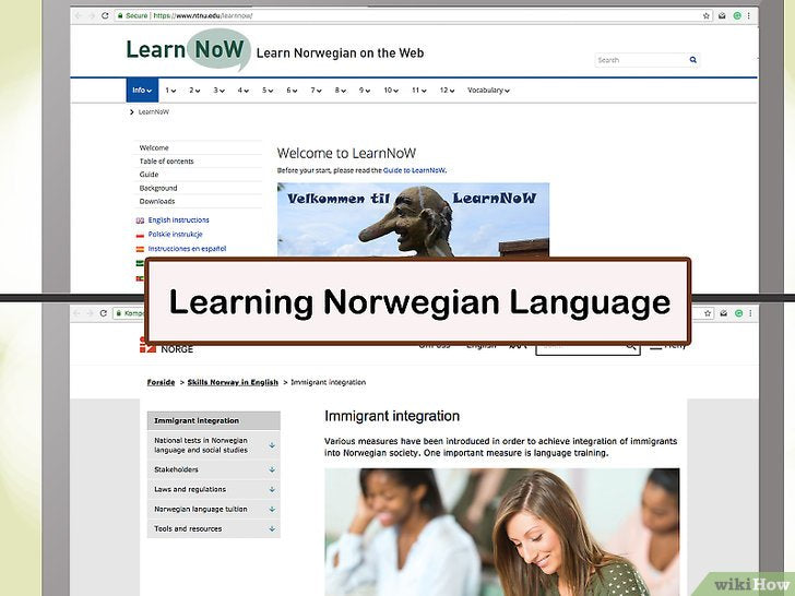 Bước 2: Nếu bạn muốn sống và làm việc tại Na Uy, bạn sẽ cần phải nắm vững ngôn ngữ của họ.