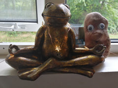 Spud with Yoga frog