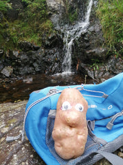 Spud at Waterfall