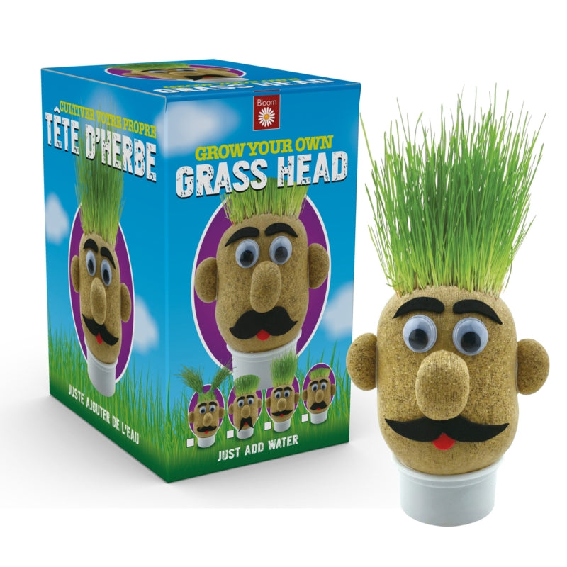 Image of Grow your own Grass Head