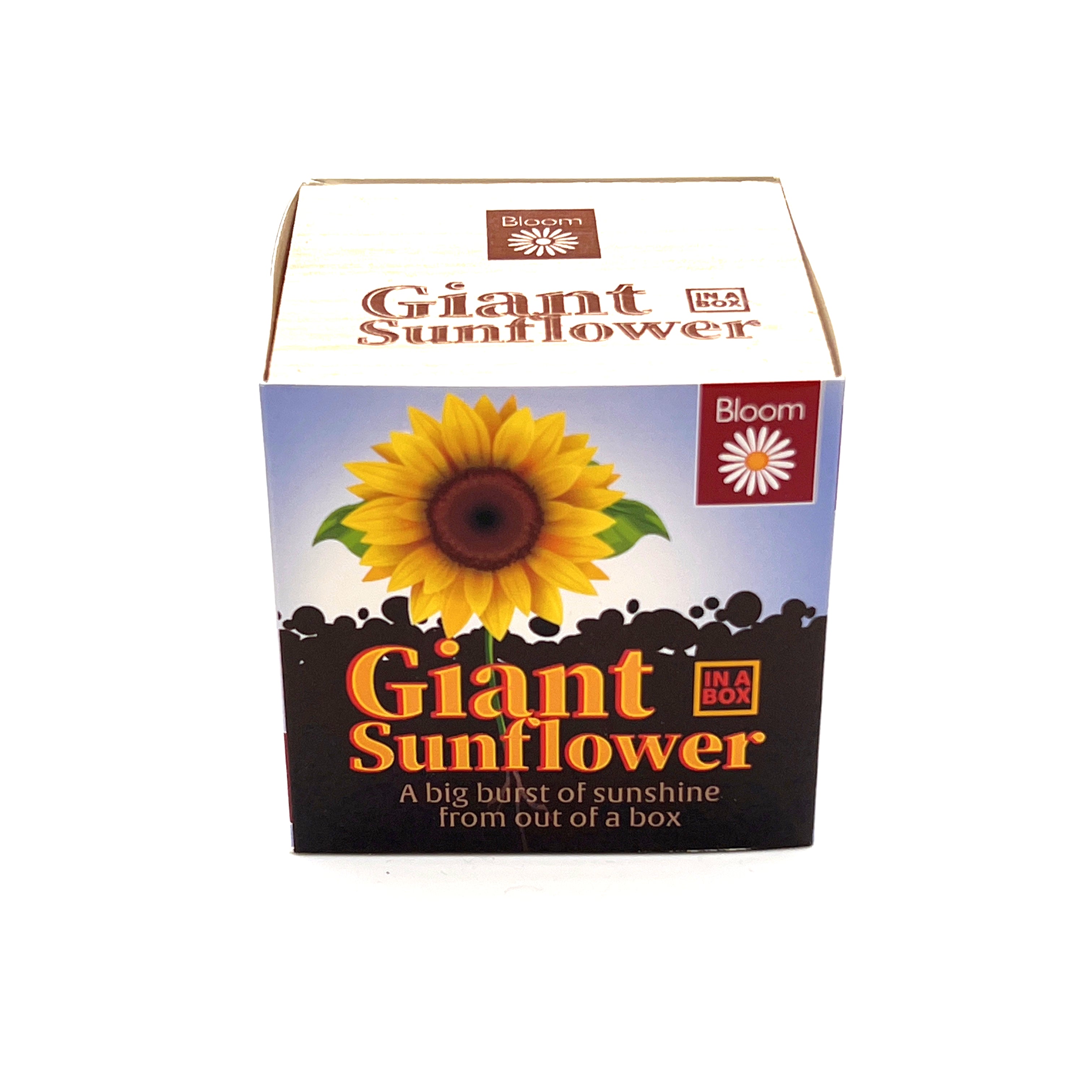 Image of Grow your Own Giant Sunflower in a box