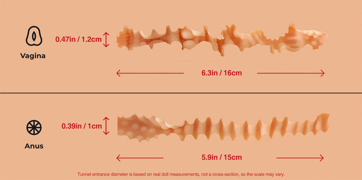 Monica vaginal and anal tunnels.jpg__PID:dbdc1f06-ca28-4f64-b441-752f83d6bf5b