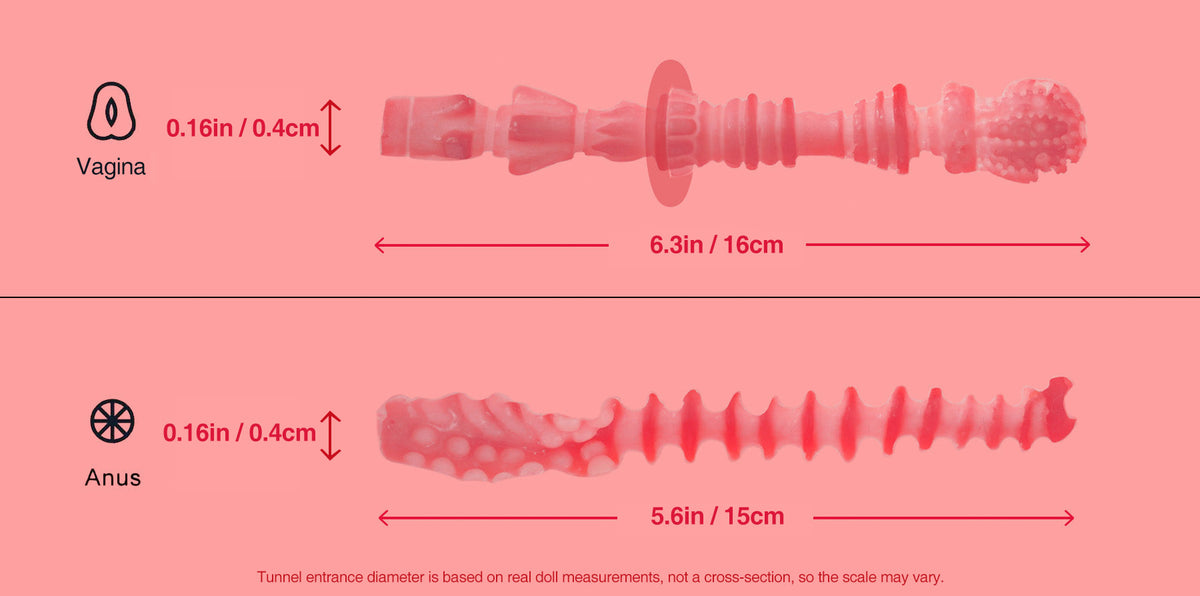 Nicole vaginal and anal tunnels.jpg__PID:4aa421d3-262c-4efc-ac3a-d6cb7d3347ac