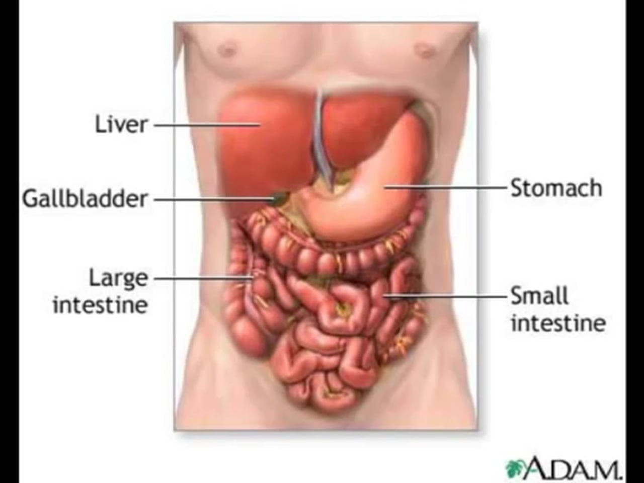 Acid reflux medications during pregnancy