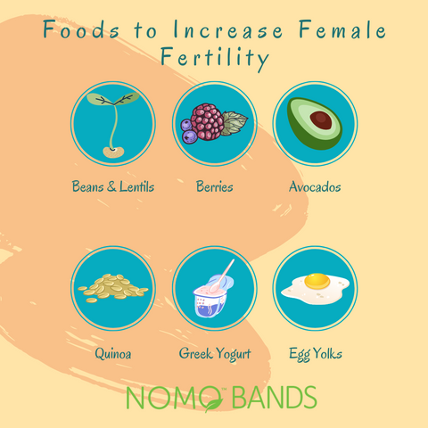 Foods to increase fertility in females