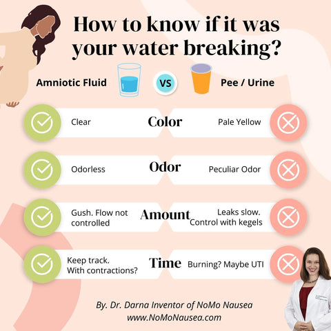 How to know if it was your water breaking? Infographic comparing water breaking vs. urine release, expertly created by our pregnant doctor and pregnancy podcast host. Gain clear visual guidance on differentiating between the two and understanding the distinguishing factors. This informative resource assists in recognizing the signs and offers valuable insights to help determine if it was your water breaking during pregnancy.
