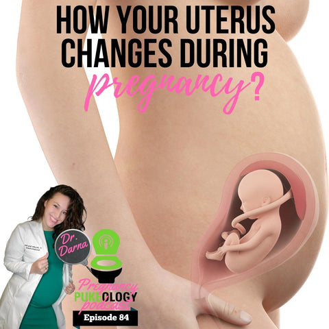 how does the pregnant uterus change