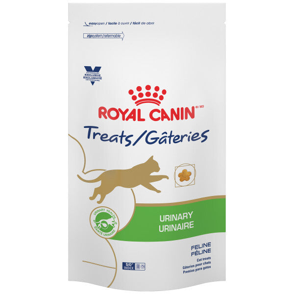 top puppy dry food