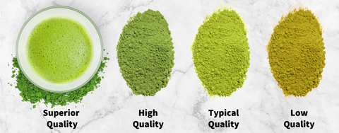 different types of matcha on white background, ranging in electric green to a dull green