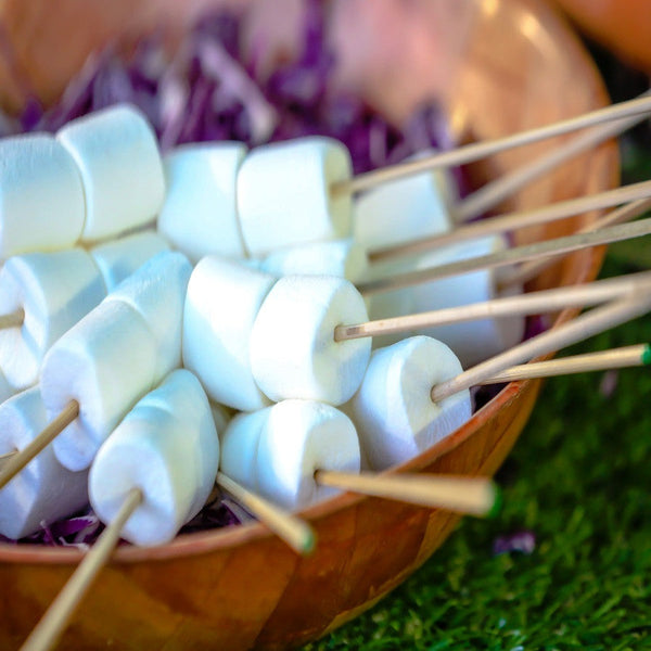 marshmallow sticks bbq sg singapore empty