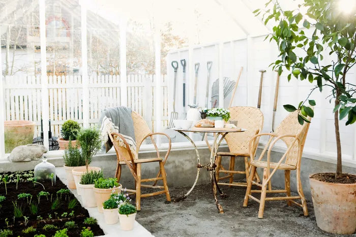 Sunroom with lime trees