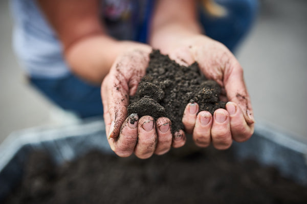 Hands passing through soil