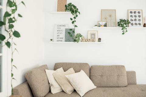 Pothos hanging around a couch