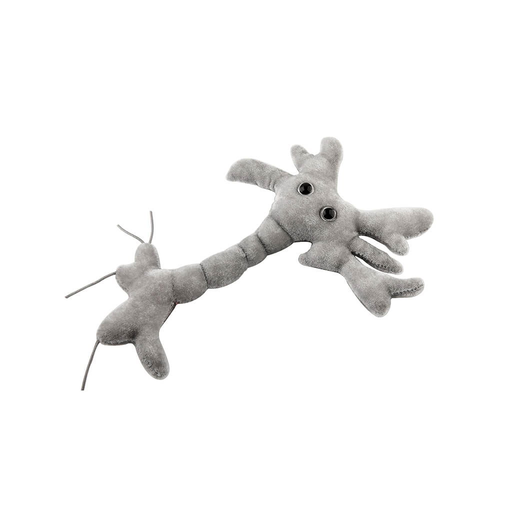 brain cell soft toy