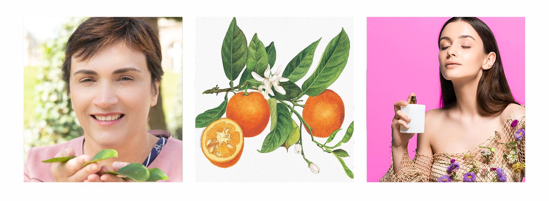 Virginie Roux, A depiction of Orange Blossom and a promotional shot from Au Pays de la Fleur D'Oranger