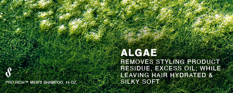 Algae, an ingredient that removes styling product residue, excess oil; while leaving hair hydrated &  silky soft. An ingredient in The Pro Rich Men's Shampoo, 14 oz. from The Rich Barber