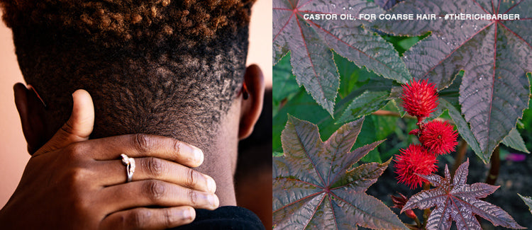 Castor Oil for Coarse Hair - The Rich Barber Pro Rich Shampoo and Conditioner Set
