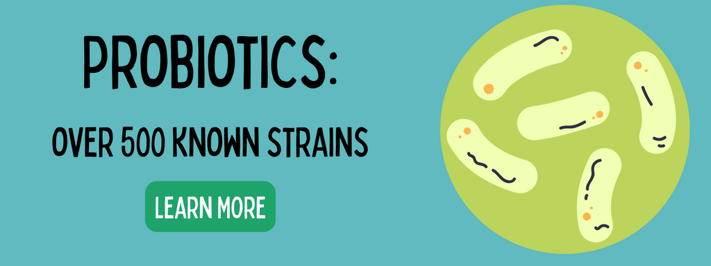 Learn More About Different Probiotic Strains