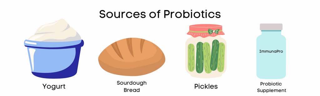 Sources of Probiotics Banner | ImmunaRelief