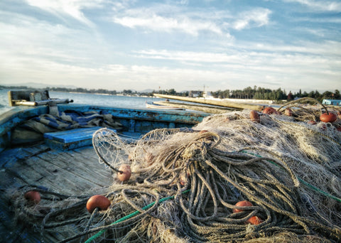 How These Companies are Helping Solve Ocean Waste - One Net at a