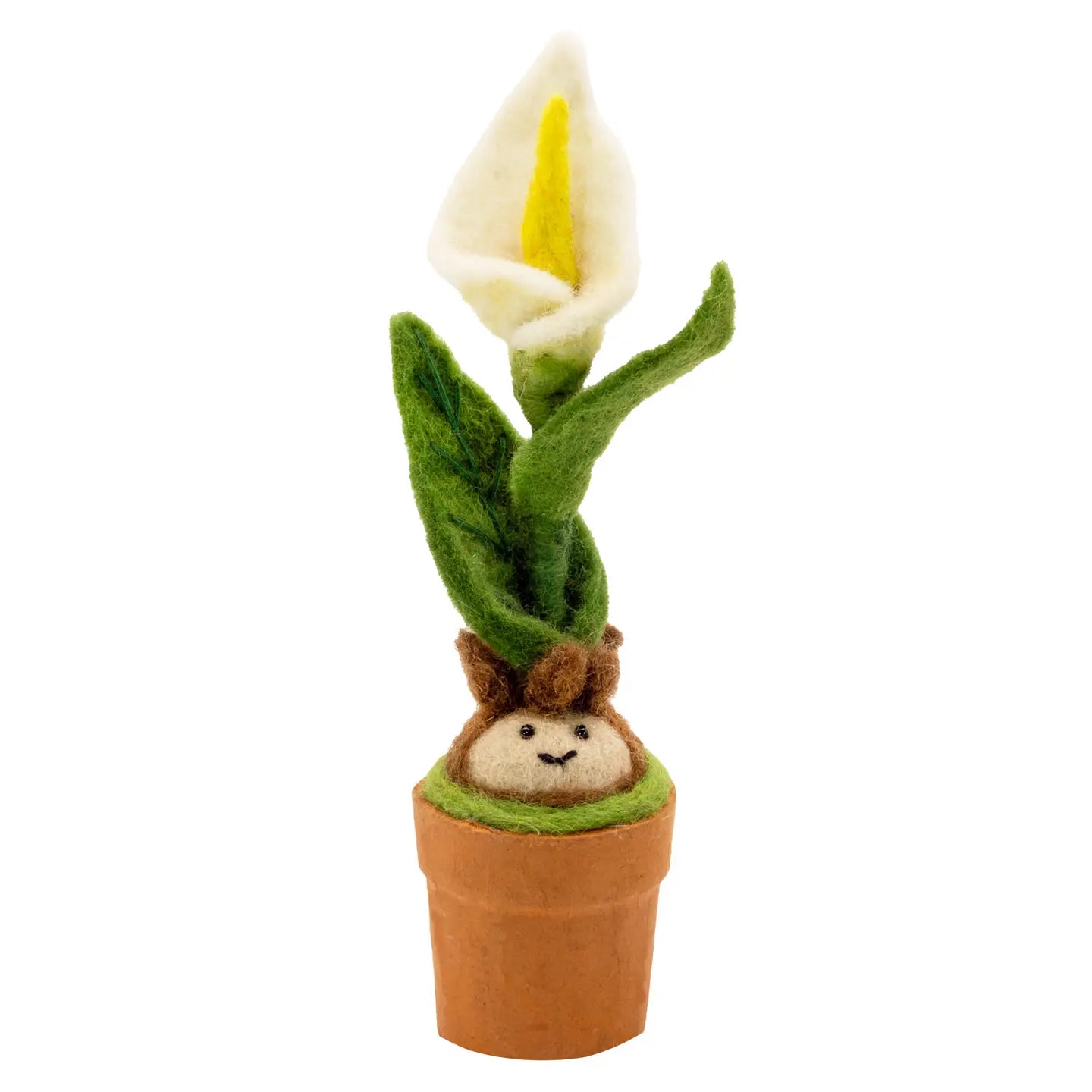 Calla Lily Potted Plant