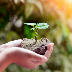 Valeurs environnementales beauté naturelle