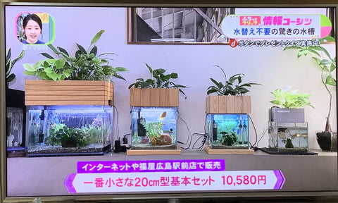 RCCテレビ「イマナマ」でせせらぎビオトープが紹介されました